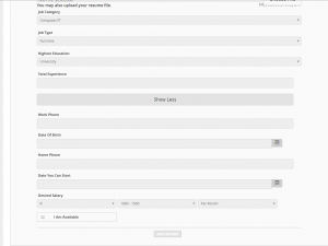 Resume (CV) forms 02